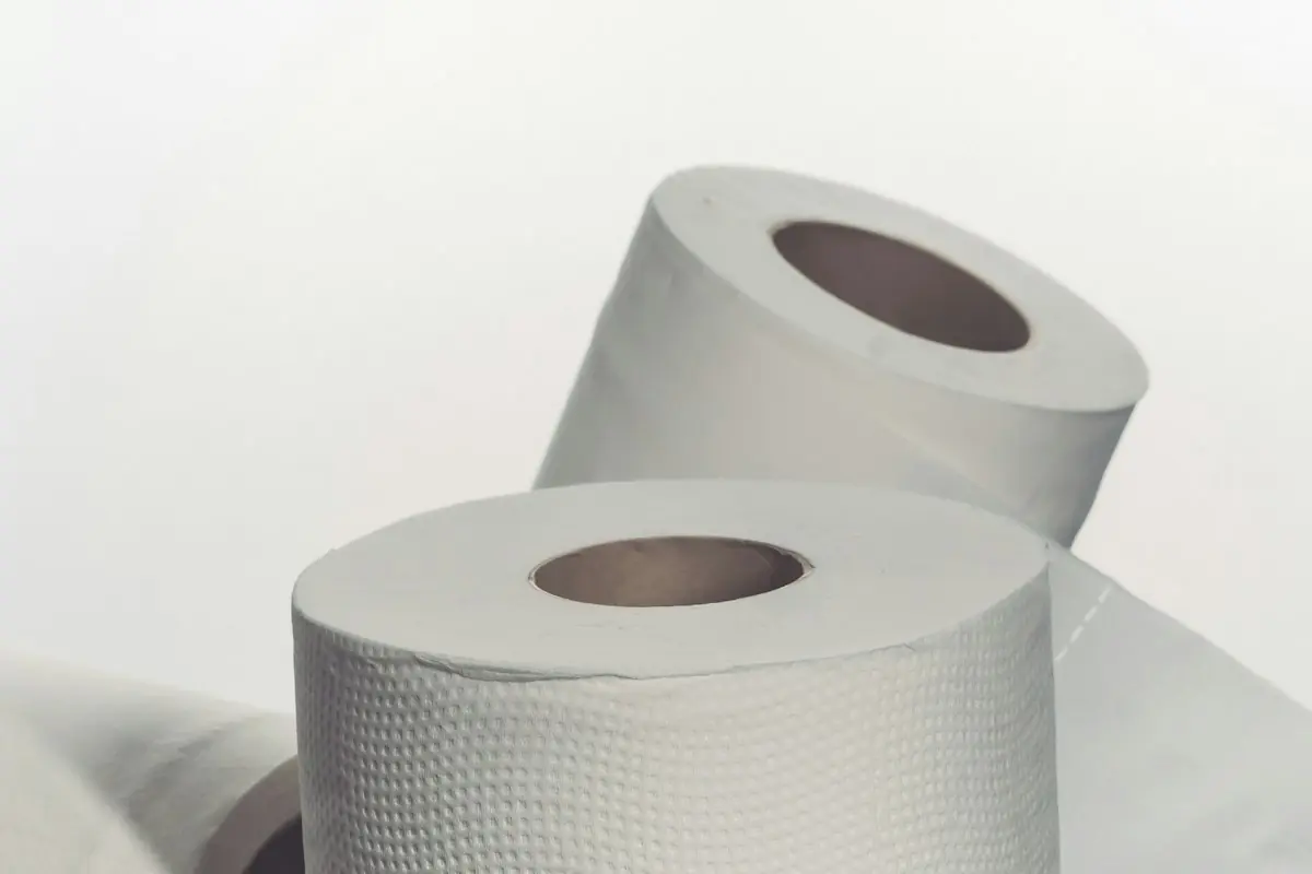 Rollos de papel apilados en luz natural
